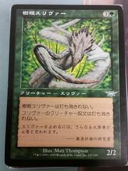 Root Sliver - Japanese